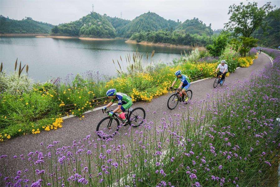 骑行活动(图3)