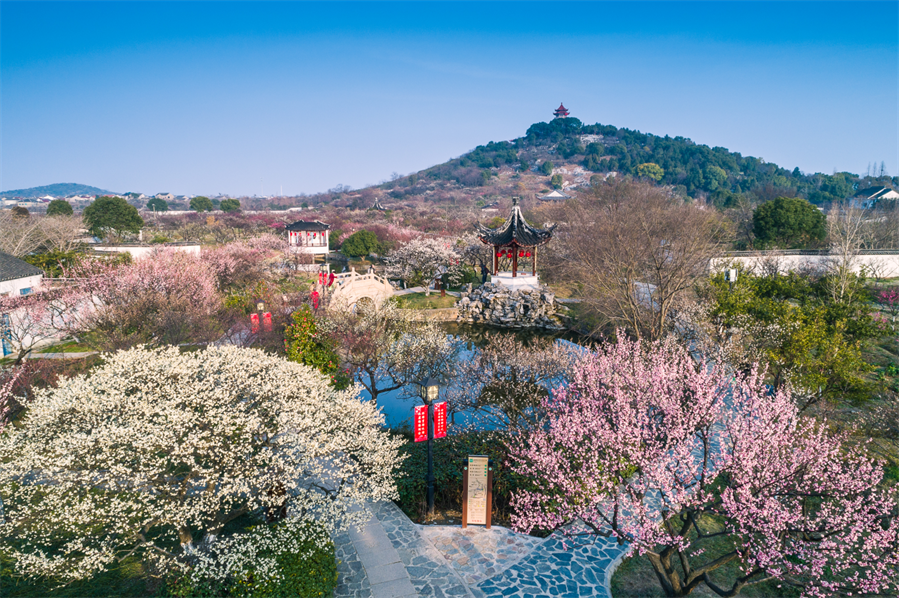 春季主题团建(图2)