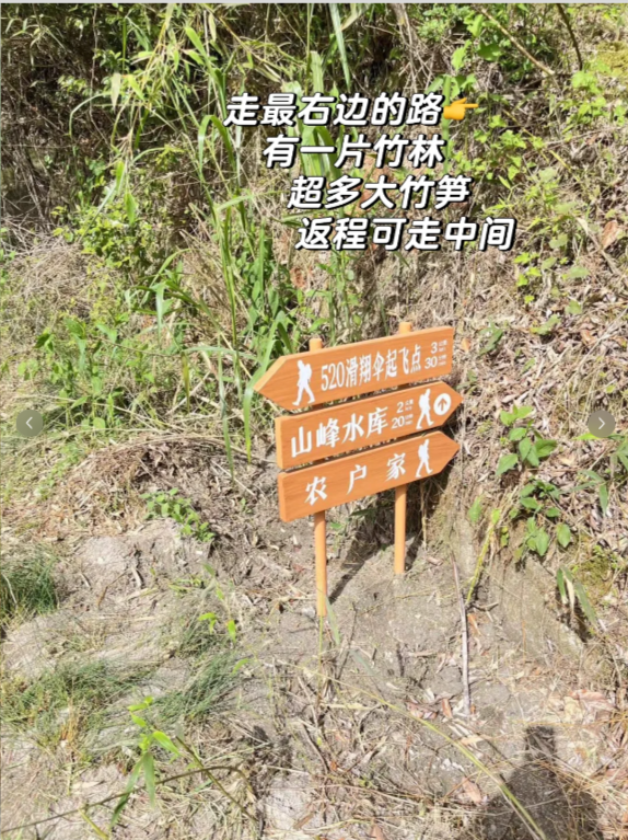 长沙周边｜挖笋溯溪天花板人少免费的野趣(图4)