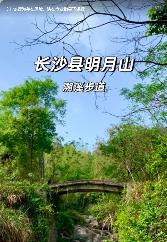 长沙周边｜挖笋溯溪天花板人少免费的野趣(图1)