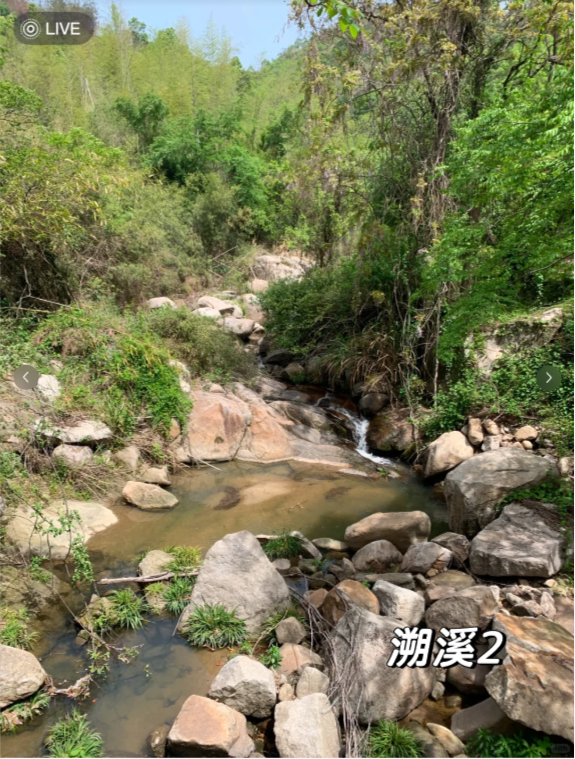 长沙周边｜挖笋溯溪天花板人少免费的野趣(图3)