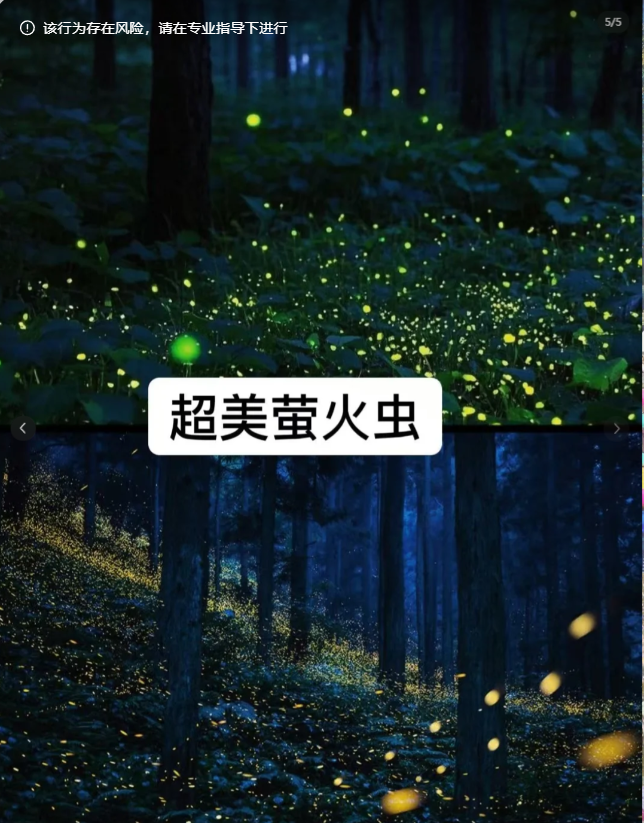 长沙团建|萤火虫+溯溪+露营团建冰爽到尖叫(图4) 长沙团建|萤火虫+溯溪+露营团建冰爽到尖叫(图4)